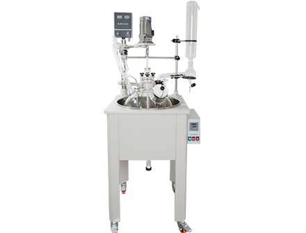 F100H2-100L单层玻璃反应釜