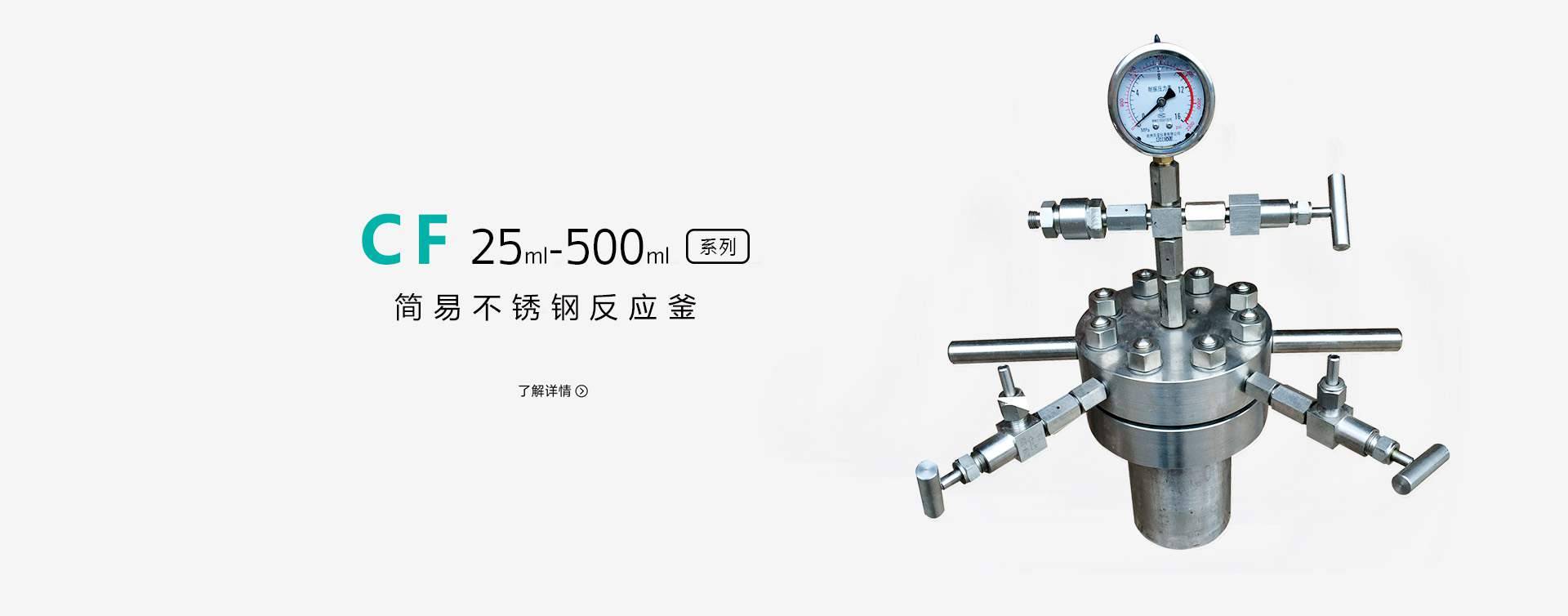50ml简易不锈钢高压反应釜图片