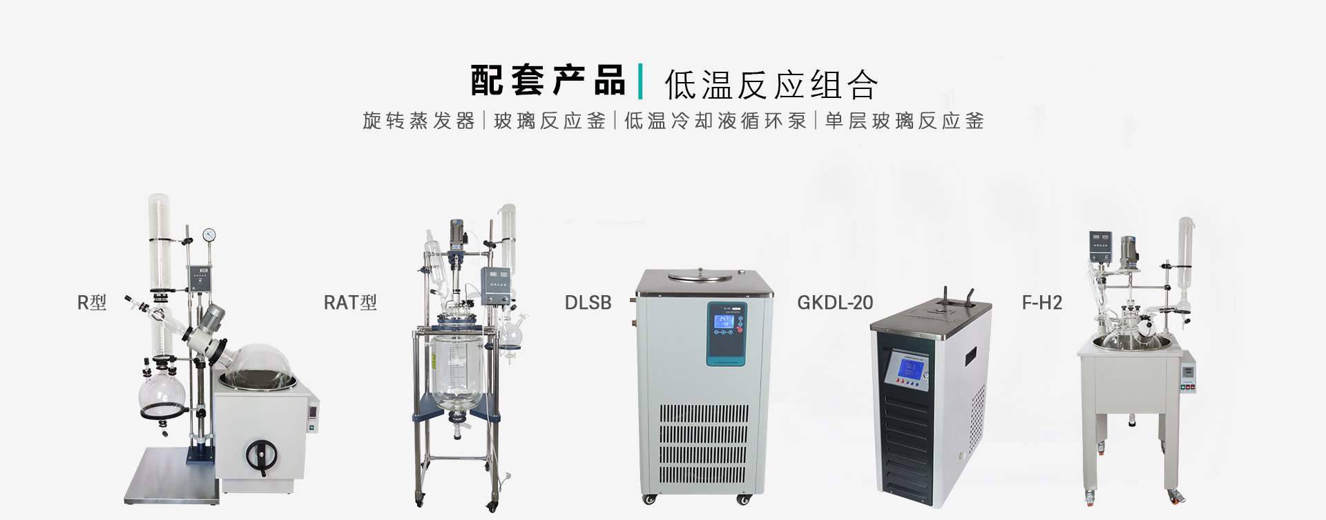 DLSB-30L/-60℃低温冷却循环泵图片