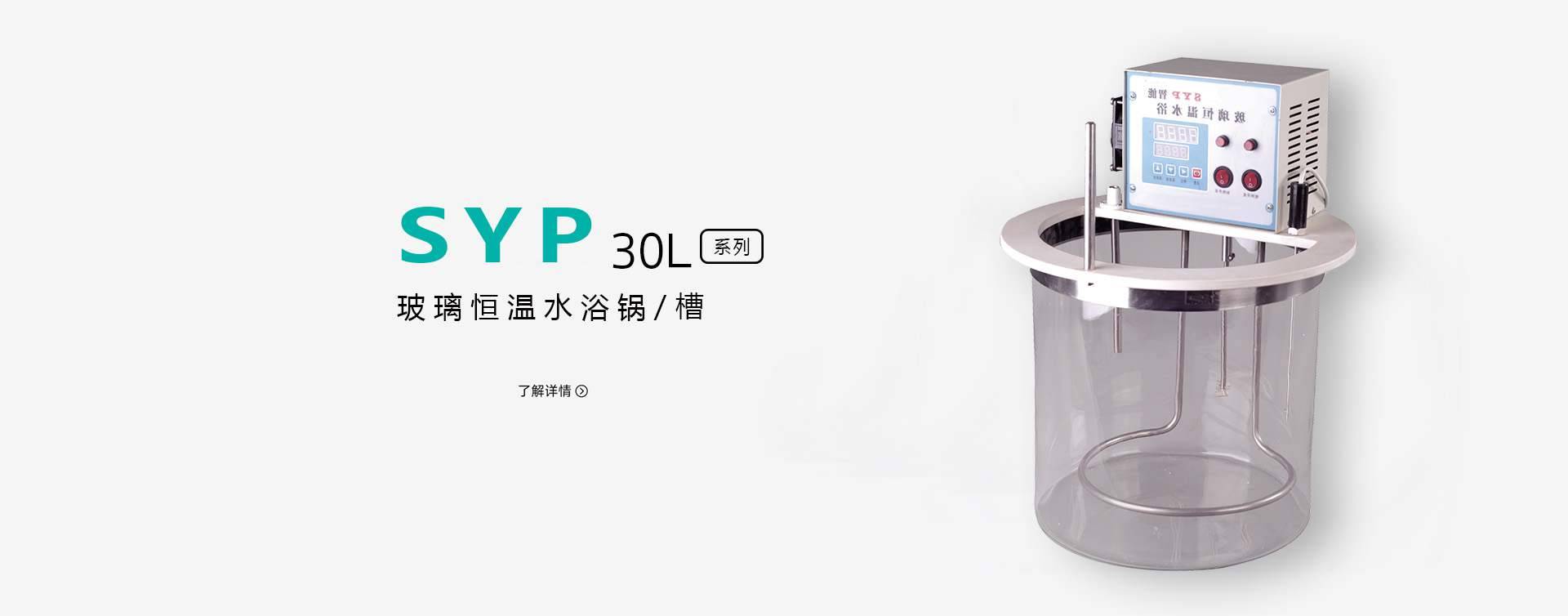 SYP 玻璃恒温槽图片