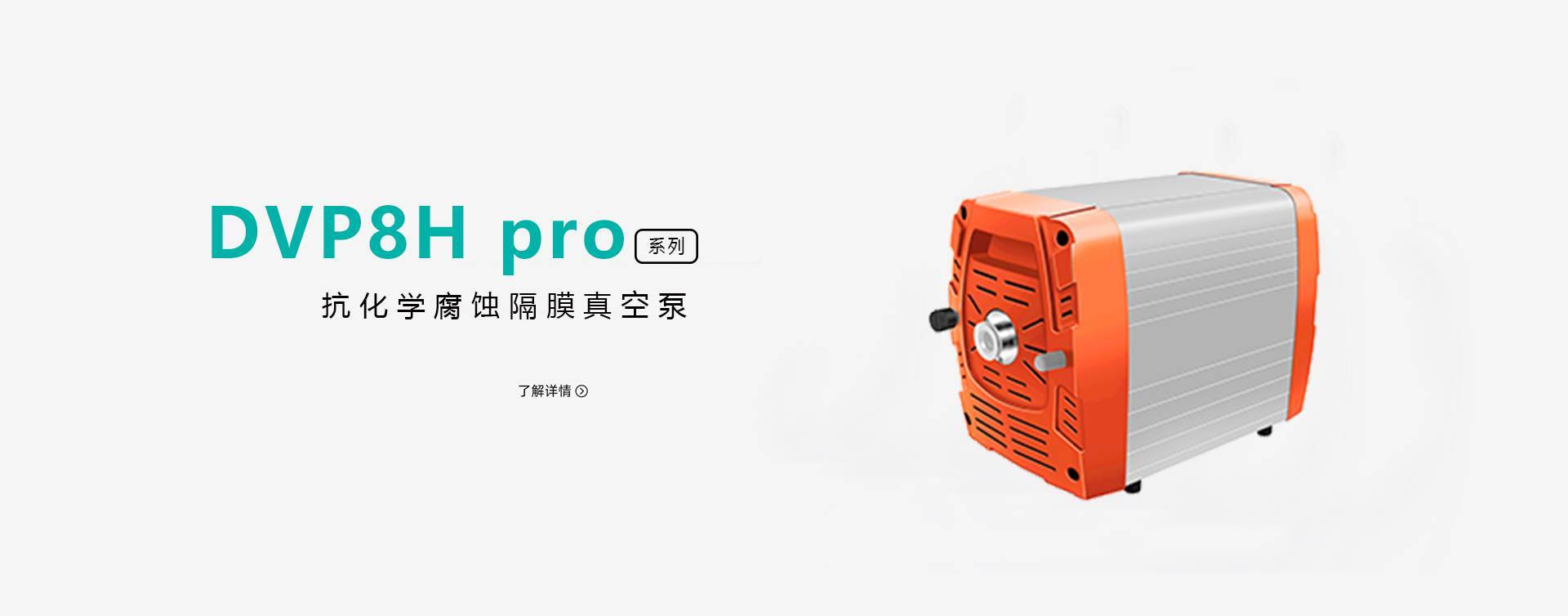 DVP 8-12m3/h 系列抗化学腐蚀隔膜泵/真空泵