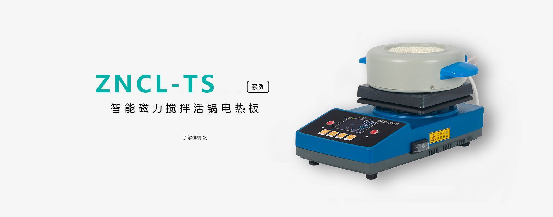 ZNCL-TS 250ml活套电热套图片