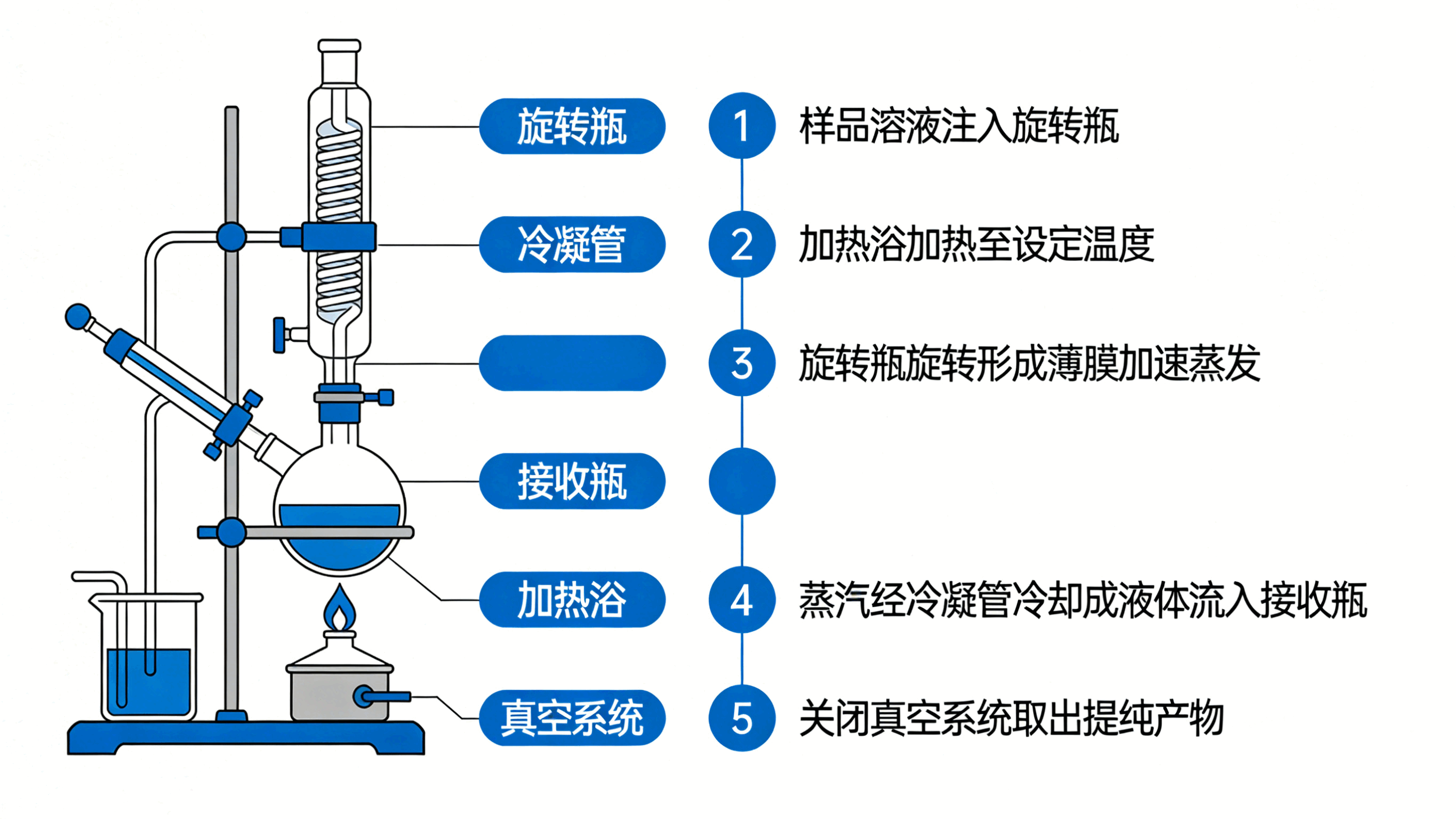 提升生产效率，旋转蒸发器的提纯方法全解